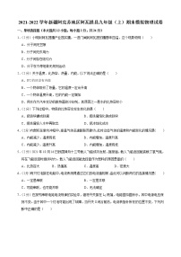 新疆阿克苏地区阿瓦提县2021-2022学年九年级上学期期末模拟物理试卷（word版 含答案）