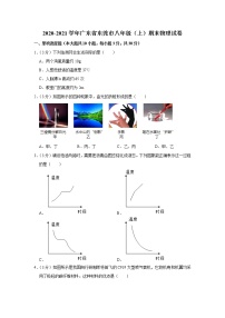 广东省东莞市2020-2021学年八年级上学期期末考试物理试题（word版 含答案）