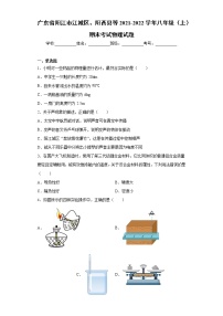 广东省阳江市江城区、阳西县等2021-2022学年八年级（上）期末考试物理试题（word版 含答案）