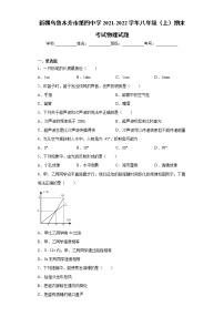 新疆乌鲁木齐市第四中学2021-2022学年八年级（上）期末考试物理试题（word版 含答案）