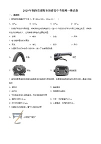 精品解析：2020年湖南省邵阳市新邵县中考一模物理试题（解析版+原卷版）