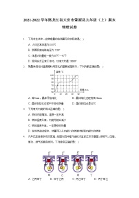 2021-2022学年黑龙江省大庆市肇源县九年级（上）期末物理试卷