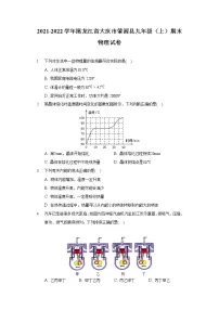 2021-2022学年黑龙江省大庆市肇源县九年级(上)期末物理试卷