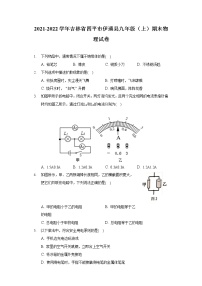 2021-2022学年吉林省四平市伊通县九年级（上）期末物理试卷