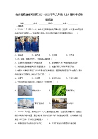 山东省临沂市河东区2021-2022学年九年级（上）期末考试物理试题（word版 含答案）