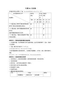 专题04 光现象-2022年中考物理一轮复习考点方法大突破`学案