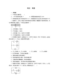 2022年中考一轮复习能力提升练习：电压+电阻