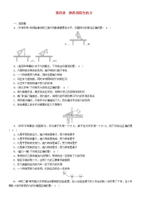 中考物理一轮复习第4讲《熟悉而陌生的力》同步精练（含答案）