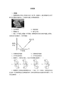 2022年中考物理一轮复习强化训练：光现象
