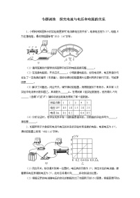 2022年中考物理二轮复习重点专题训练探究电流与电压和电阻的关系