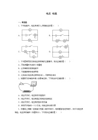 2022年中考物理二轮专题强化训练：电压+电阻