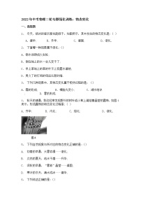 2022年中考物理二轮专题强化训练：物态变化