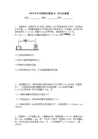 2022年物理中考专题复习：浮力计算题