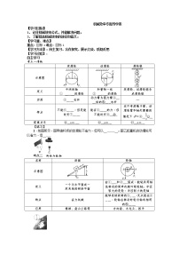 2022年中考物理专题机械效率复习导学案