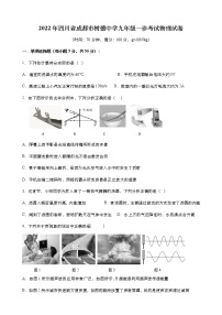 2022年四川省成都市树德中学九年级一诊考试物理试卷(word版含答案)