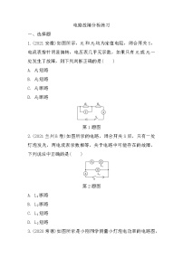 2022年中考物理二轮复习：微专题三电路故障分析