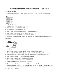 2022年中考物理知识点二轮复习专题练习——电压和电阻