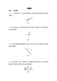 2022年宁夏中考物理专题训练：作图题