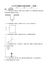 2022年中考物理考点作图专题训练——光现象