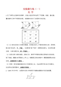 实验题01 光学-冲刺2020年中考物理易错讲评重点题型专练