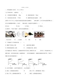 八年级物理上册期末试卷及答案(人教版)