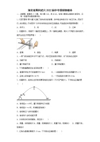 2022年湖北省黄冈武穴中考模拟物理试卷