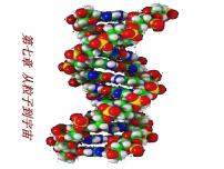 苏科版八年级下册走进分子世界教课内容课件ppt