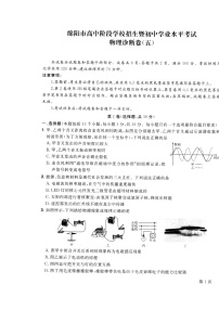 2022年四川省绵阳市高中阶段招生暨初中毕业水平考试物理诊断卷（五）