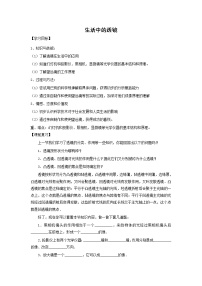 北师大版八年级下册三、生活中的透镜学案及答案