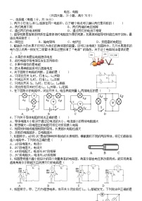 2022年中考物理二轮复习练习电压电阻