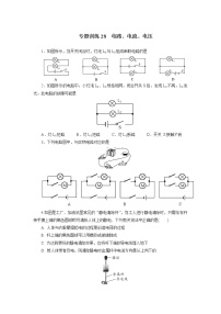 中考物理必刷题     专题训练28电路、电流、电压