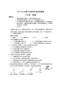 湖南省常德市汉寿县2021-2022学年八年级下学期期中义务教育阶段质量监测物理试题（含答案）