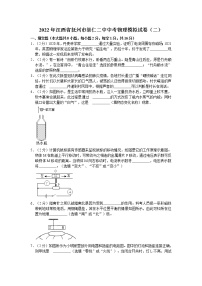 2022年江西省抚州市崇仁二中中考物理模拟试卷（含答案）