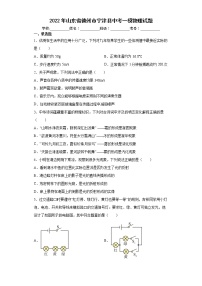 2022年山东省德州市宁津县中考一模物理试题(word版含答案)