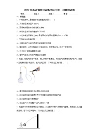 2022年浙江省杭州市临平区中考一模物理试题(word版含答案)