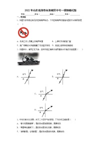 2022年山东省潍坊市潍城区中考一模物理试题(word版含答案)