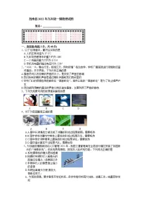 2022年山东省临沂市莒南县中考物理一模试题
