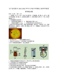 辽宁省沈阳市2021-2022学年九年级下学期线上教学学情调研物理试题