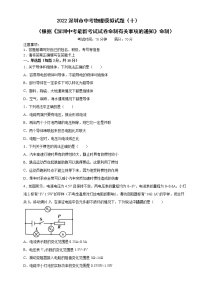 2022年广东省深圳市中考物理模拟试题（十一）（有答案）