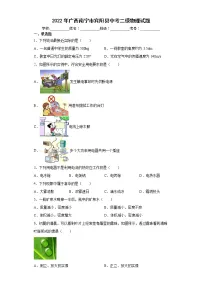 2022年广西南宁市宾阳县中考二模物理试题(word版含答案)