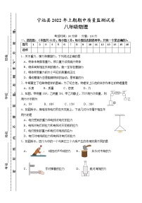 湖南省永州市宁远县2021-2022学年八年级下学期期中质量监测物理试题(word版含答案)