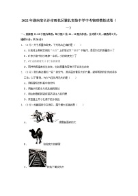 2022年湖南省长沙市雅礼实验中学中考模拟（一）物理试题(word版含答案)