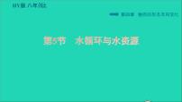 粤沪版八年级上册5 水循环与水资源习题课件ppt