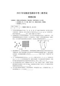 2022年安徽省芜湖市中考二模考试 物理 试题（含答案）