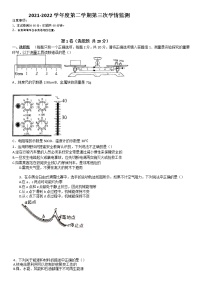 2022年山东省济宁市金乡县中考三模物理试题（含答案）