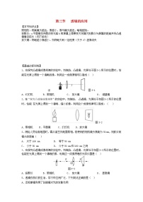 初中物理人教版八年级上册第3节 凸透镜成像的规律当堂达标检测题