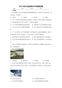 【中考真题】2022年四川省成都市中考物理试卷（附答案）