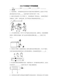 【中考真题】2022年安徽省中考物理试卷（附答案）