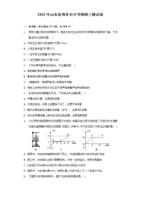 2022年山东省菏泽市中考物理三模试卷(word版含答案)