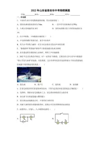 【中考真题】2022年山东省泰安市中考物理试卷(附答案)